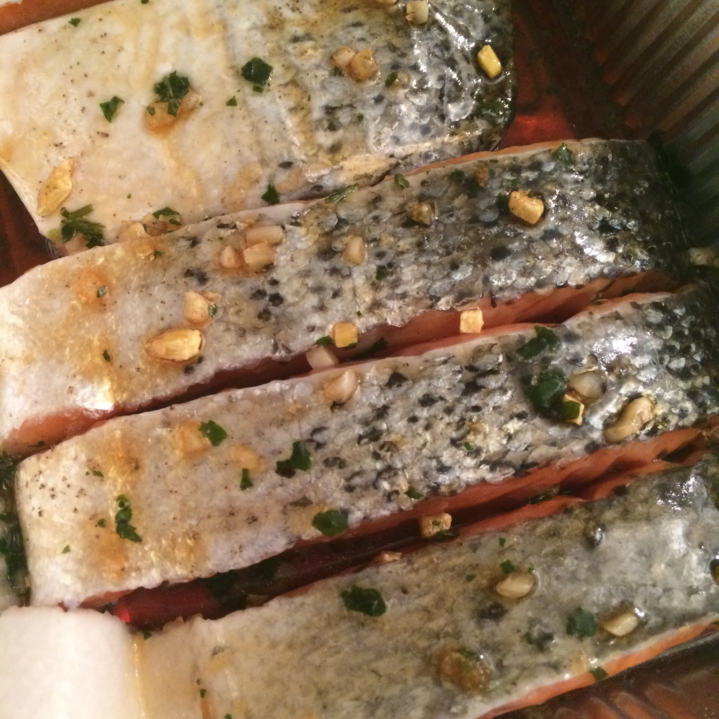 filets de saumon dans leur marinade à base de sirop d'érable et de gingembre